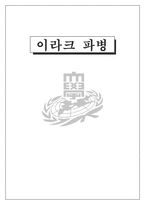 [정책학] 이라크파병-1