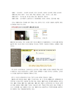 웰빙과 철학 레포트-2