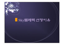 [마케팅,조직구조]펜택-sky텔레텍기업 조사분석-합병전후--3