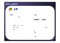 [마케팅,조직구조]펜택-sky텔레텍기업 조사분석-합병전후--6