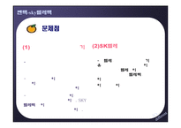 [마케팅,조직구조]펜택-sky텔레텍기업 조사분석-합병전후--13