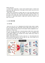 [경영정보시스템] 해킹과 컴퓨터바이러스-6