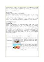 락앤락의 성공마케팅 및 해외진출 전략-17