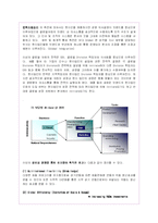 로레알의 글로벌경영전략과 한국진출마케팅분석-10