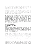 로레알의 글로벌경영전략과 한국진출마케팅분석-11