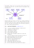 로레알의 글로벌경영전략과 한국진출마케팅분석-16