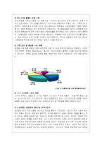 로레알의 글로벌경영전략과 한국진출마케팅분석-20