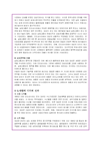 대상그룹의 글로벌 경영전략과 현지화마케팅분석-18