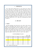 [마케팅관리론] SM의 마케팅으로 기업이 된 보아의 성공요인분석-3