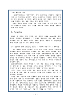 [마케팅관리론] SM의 마케팅으로 기업이 된 보아의 성공요인분석-17