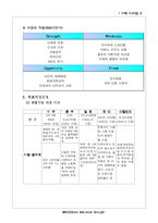 [국제마케팅] 소화기제품 국제마케팅전략-8