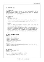 [국제마케팅] 소화기제품 국제마케팅전략-13