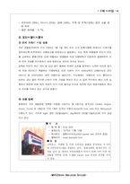 [국제마케팅] 소화기제품 국제마케팅전략-14