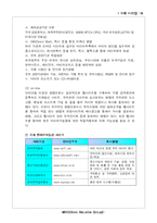 [국제마케팅] 소화기제품 국제마케팅전략-18