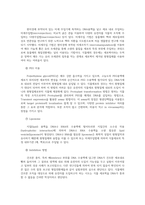 식용작물학24B 전통적인 작물개량법 분자육종법 그리고 형질전환 방법의 차이점을 비교설명하시오0K-6