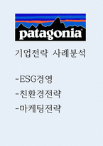 파타고니아 ESG경영 사례와 파타고니아 친환경전략,마케팅전략 사례분석-1