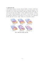 기단과 전선-4