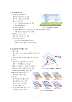 온대저기압에 대한 정리-2