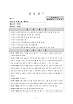 사회복지현장실습일지-18