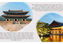 제주도 미식여행-8