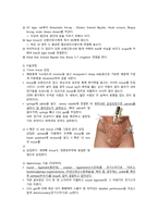진단명 - endometrial hyperplasia (자궁 내막 증식증), 수술명 - LAVH (복강경식 질식 자궁절제술)-4