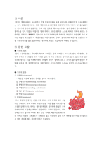 A++자료입니다)성인간호학 실습, 직장페색, ileostomy Case, 장루환자 케이스, 장루 케이스, 장루술 케이스 스터디, 장루술 간호과정, 장루술 간호진단 3가지, 장루 간호-2