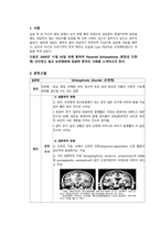 A++자료입니다)정신간호학 실습, 조현병 케이스, 조현병 간호진단 3개/A+보장-2