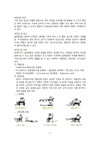 지역사회간호학실습 - 골관절염 A+-4