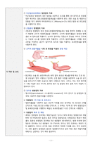 성인간호학실습 - 방광암 a+ !!!!!!!!!!!!!!!!!!!!!!!!!!!!!-5