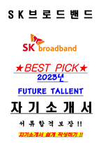 SK브로드밴드 2023년 FUTURE TALLENT 서류합격 자기소개서, 자소서 [최종합격]-1