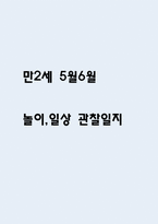 만2세 5월,6월 관찰일지 (평가있음 / 놀이활동,일상생활 관찰일지)-1