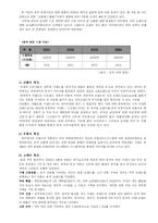 [국제마케팅] 이랜드 중국진출 성공사례-3