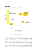 위니아 만도 `딤채` 마케팅-18