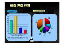 [마케팅] 홍진크라운(HJC) 성공사례-14