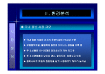 [마케팅관리론] SM의 마케팅으로 기업이 된 보아의 성공요인분석-7