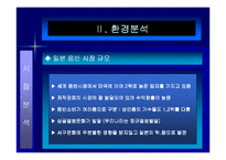 [마케팅관리론] SM의 마케팅으로 기업이 된 보아의 성공요인분석-8
