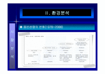 [마케팅관리론] SM의 마케팅으로 기업이 된 보아의 성공요인분석-9