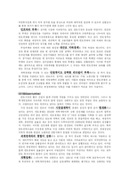 [시장조사론] 중국과 인도 시장분석-6