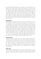 [시장조사론] 중국과 인도 시장분석-8