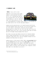 [마케팅] 서브웨이 마케팅분석과 마케팅전략-2
