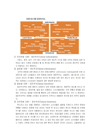 [글로벌브랜드] 국제기업의 브랜드명 통합화-3