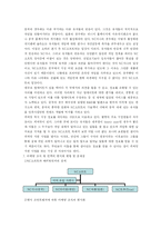 [국제마케팅] 엔씨소프트 NC소프트의 중국진출 마케팅전략 분석-8