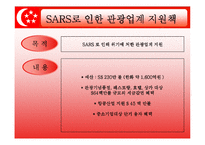 [관광법규] 싱가포르의 관광정책과 관광산업 육성지원 대책-13