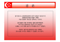 [관광법규] 싱가포르의 관광정책과 관광산업 육성지원 대책-18