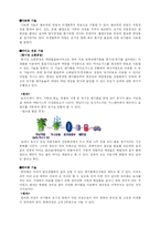 [에너지] 폐기물에너지-3
