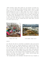 생태도시 레포트-14