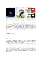 드라마와 한류열풍-6