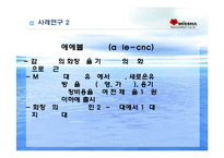 [블루오션전략] 블루오션 사례분석 -넥슨 카트라이더, 미샤 사례-10