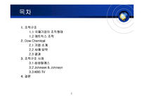 [국제경영] 다우케미컬 Dow Chemical의 매트릭스 조직구조-2
