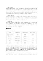 [기업분석] 하겐다즈 기업분석-9